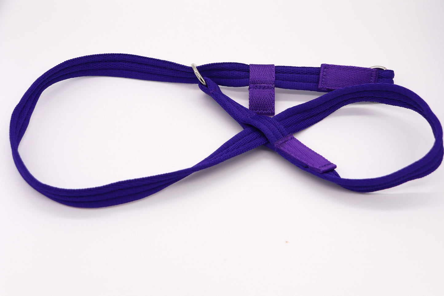 Softex Figure of 8 Dog Collar- Handmade UK Figure of Eight Head Halter