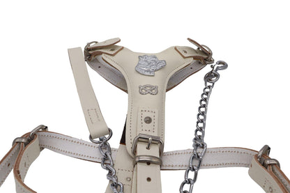 Beige Leather Staffy harness with a matching leather and chain lead