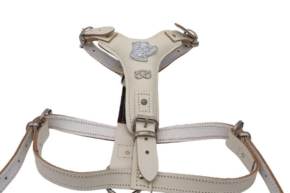 A beige Staffy harness which is a unique colour. Nickel emblems for decoration with adjustable buckles and holes for different sizes.