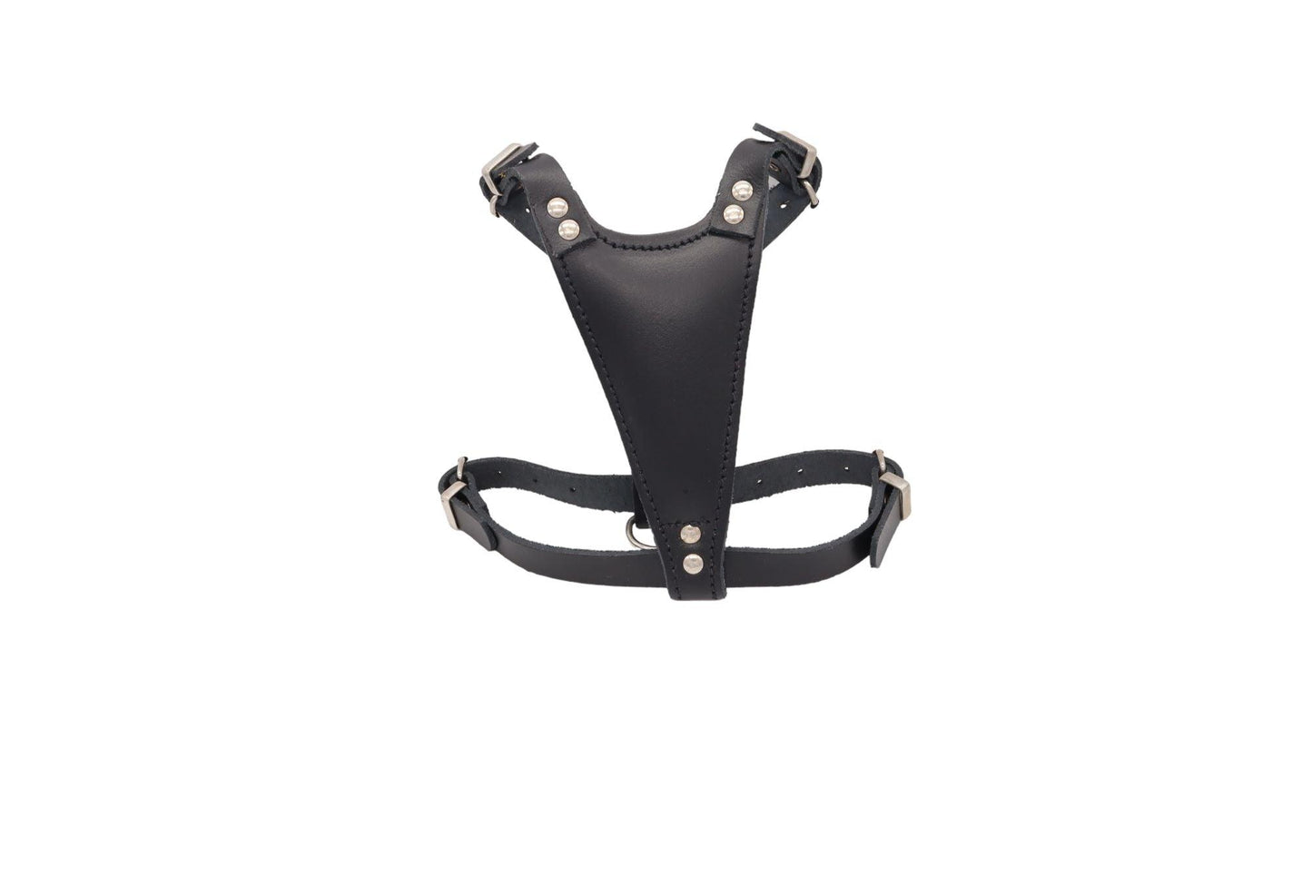 A black leather puppy harness with the chest plate facing the camera. With nickel buckles and rivets the design is simple.