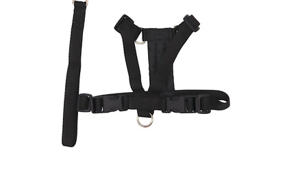 A small (size A) black car safety harness with the short handle lead by its side.