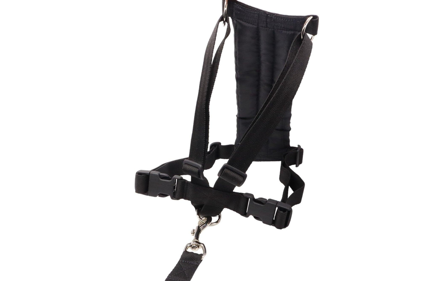 A large size F car safety harness for dogs, in black