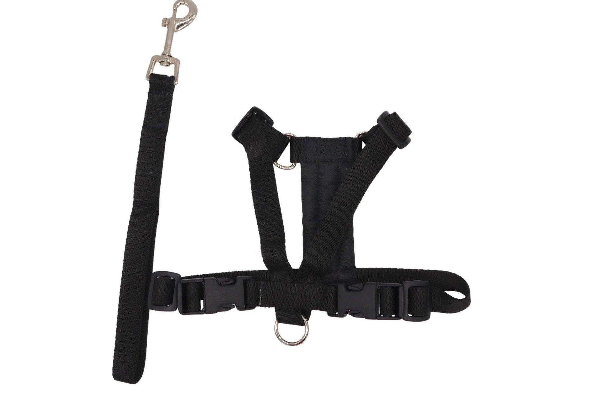 A black size A car safety harness with a black handled lead