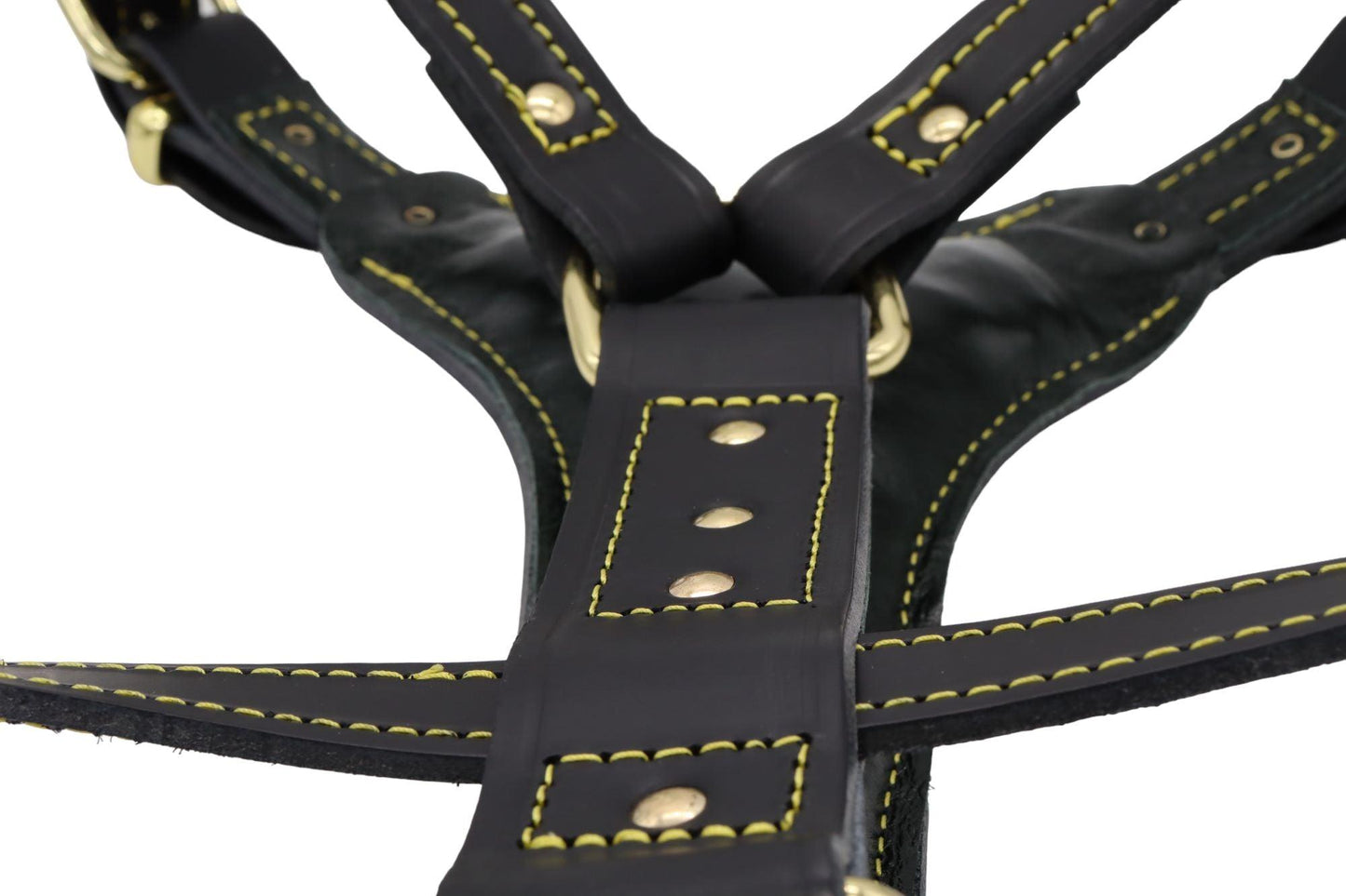 The back of a black brass leather staffy harness showing the buckles, rivets and the padding for your dogs breastplate.