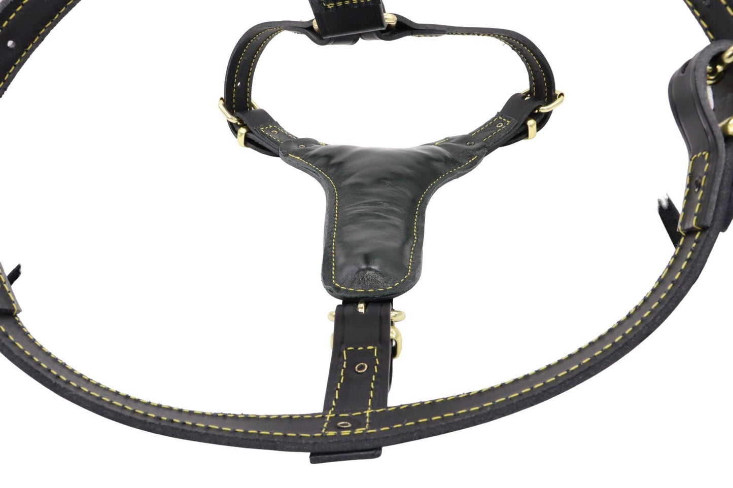 The padding inside the leather staffy harness