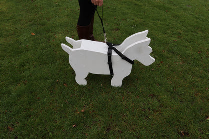 A size D car safety harness demonstrated on a wooden show dog. 