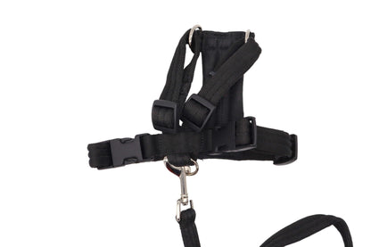 Small black dog harness with a matching lead in soft cushioned fabric