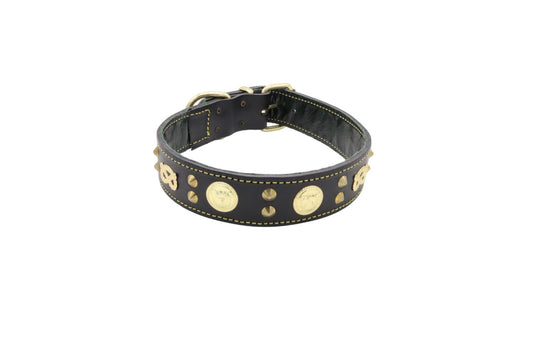 Handmade Staffy Collar