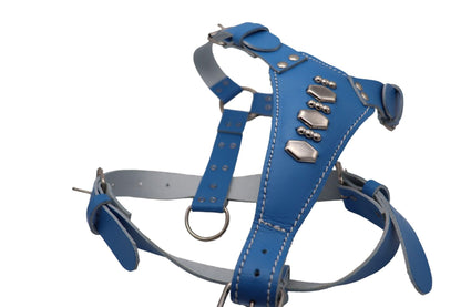 Colourful Leather Dog Harness - Blue, Orange, Lilac, Red, Black, Brown, White