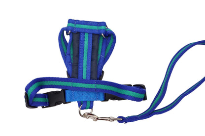 Handmade Softex Car Safety Harness - Fabric Dog Harness with Matching Handle Lead