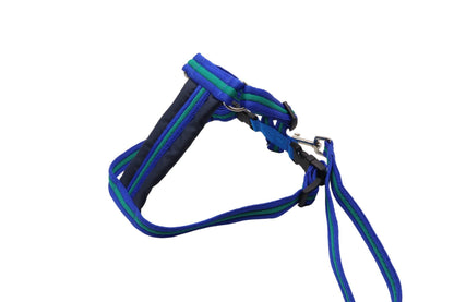 Blue and emerald small car safety harness for dogs with a matching handle and padded chestpiece