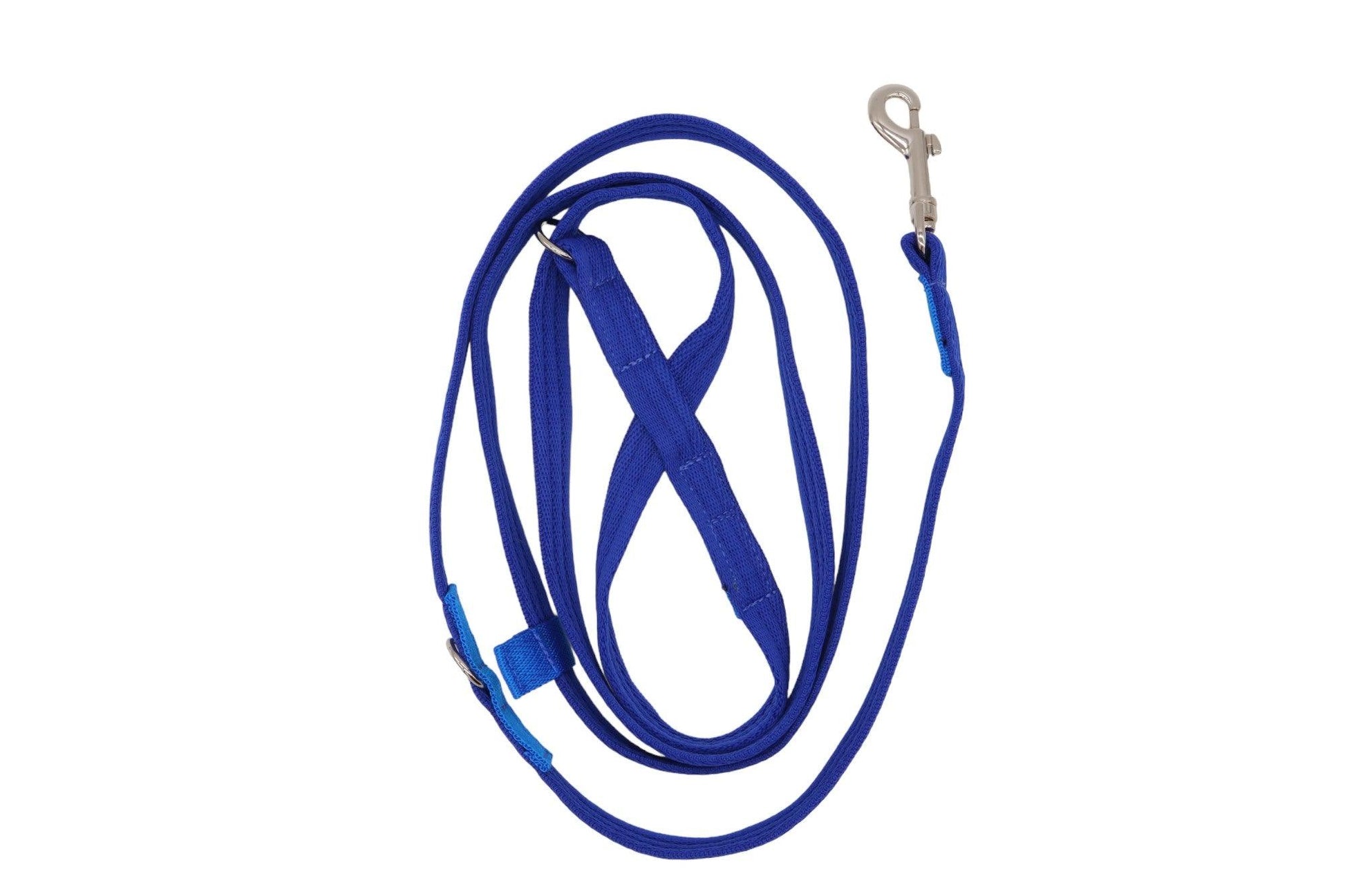 A blue figure of 8 lead with a trigger hook clip handle for multi-purpose clipping and walking. 