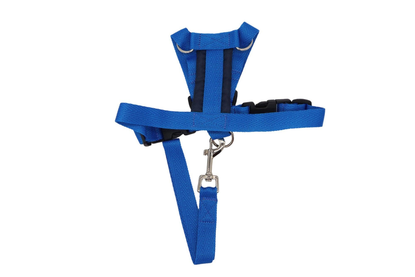 A small size A blue car safety harness with a short handle lead.