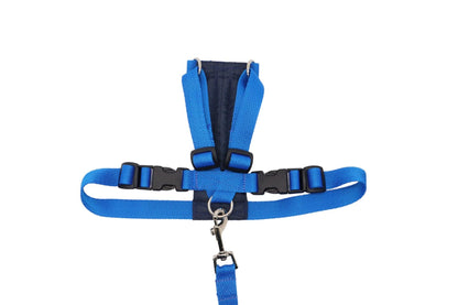 Bright blue car safety harness with a soft padded chest piece.