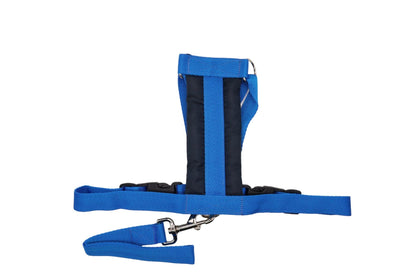 Blue size C car safety harness with a blue handle lead and a soft padding.