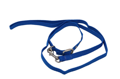 A bright blue puppy collar and lead set for the most adorable adjustable matching set.