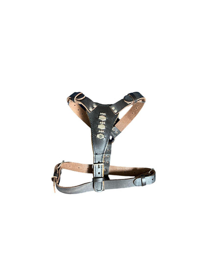 Colourful Leather Dog Harness - Blue, Orange, Lilac, Red, Black, Brown, White