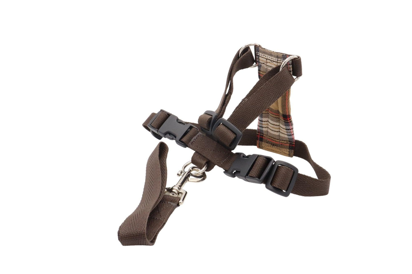 Brown tiny cute dog harness