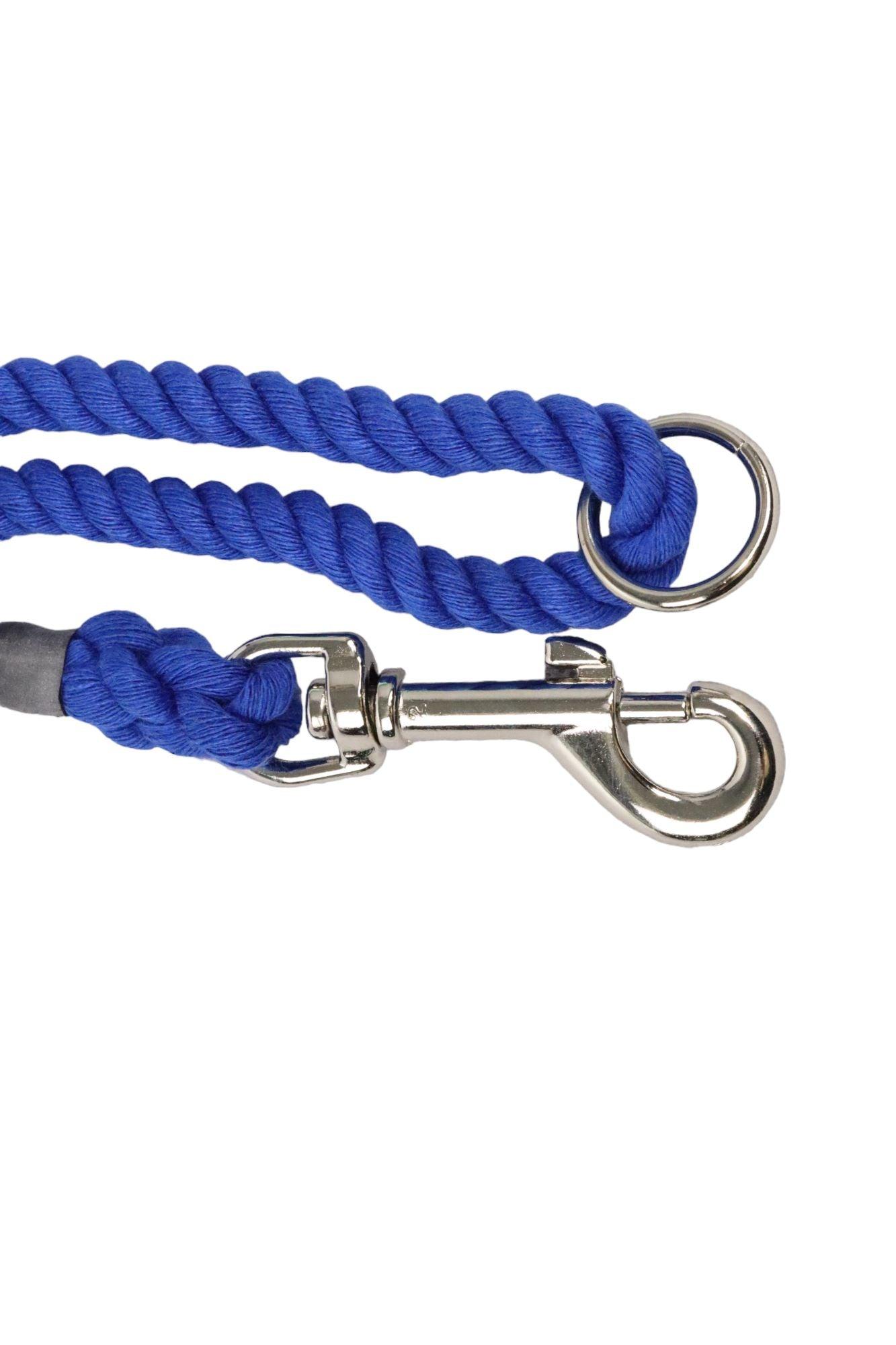 A close up of the ring and trigger hook connection that can be attached to loosely have your lead over your shoulder.