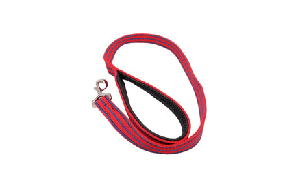 Red and a patterned blue double thickness webbing lead with a padded handle.