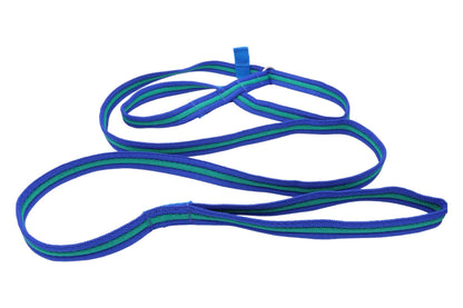 A blue and emerald figure of 8 dog lead.