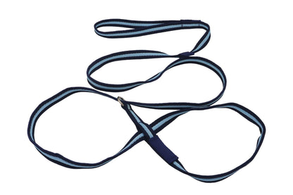 Navy, light blue, navy, figure of 8 dog lead. 