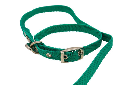 A green puppy collar with the end of the lead attached by a small trigger hook.