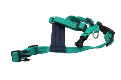 Green size A dog harness in Softex cushion webbing, fully adjustable with a padded chestpiece