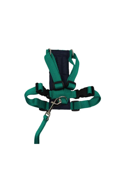 Size B, small dog harness for the car