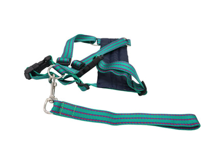 Medium to small dog car safety harness with a green patterned design