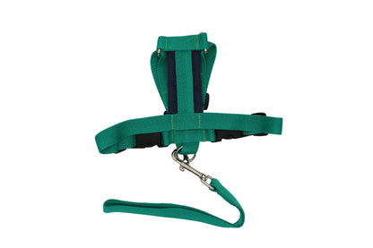 Tiny padded dog harness in green