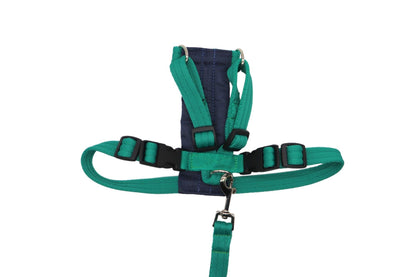 Handmade Softex Car Safety Harness - Fabric Dog Harness with Matching Handle Lead