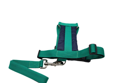 Green size C car safety harness for dogs on a while background