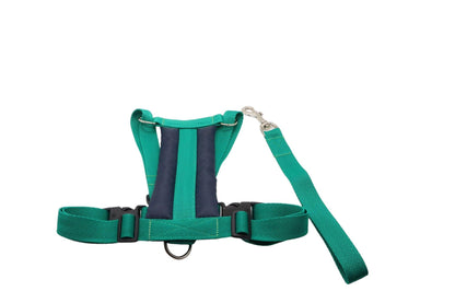 A small size A Green car safety harness with a short handle lead.