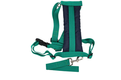 Green padded dog harness with a rectancle padding