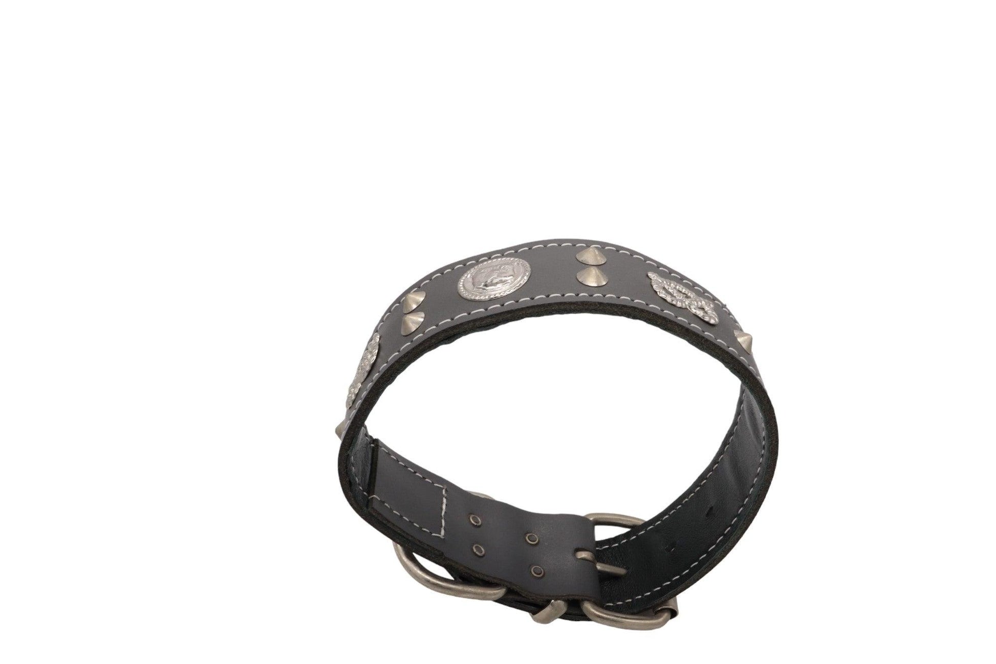 A different angle showing the leather grey Staffy collar showing upwards.