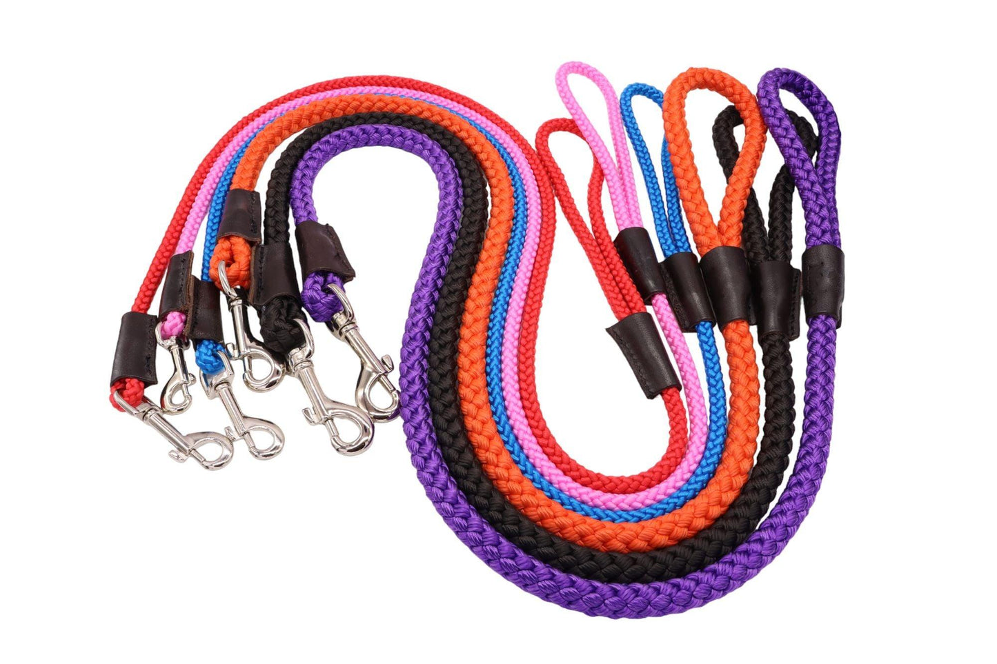 Vibrant Colours 1m Length Leash