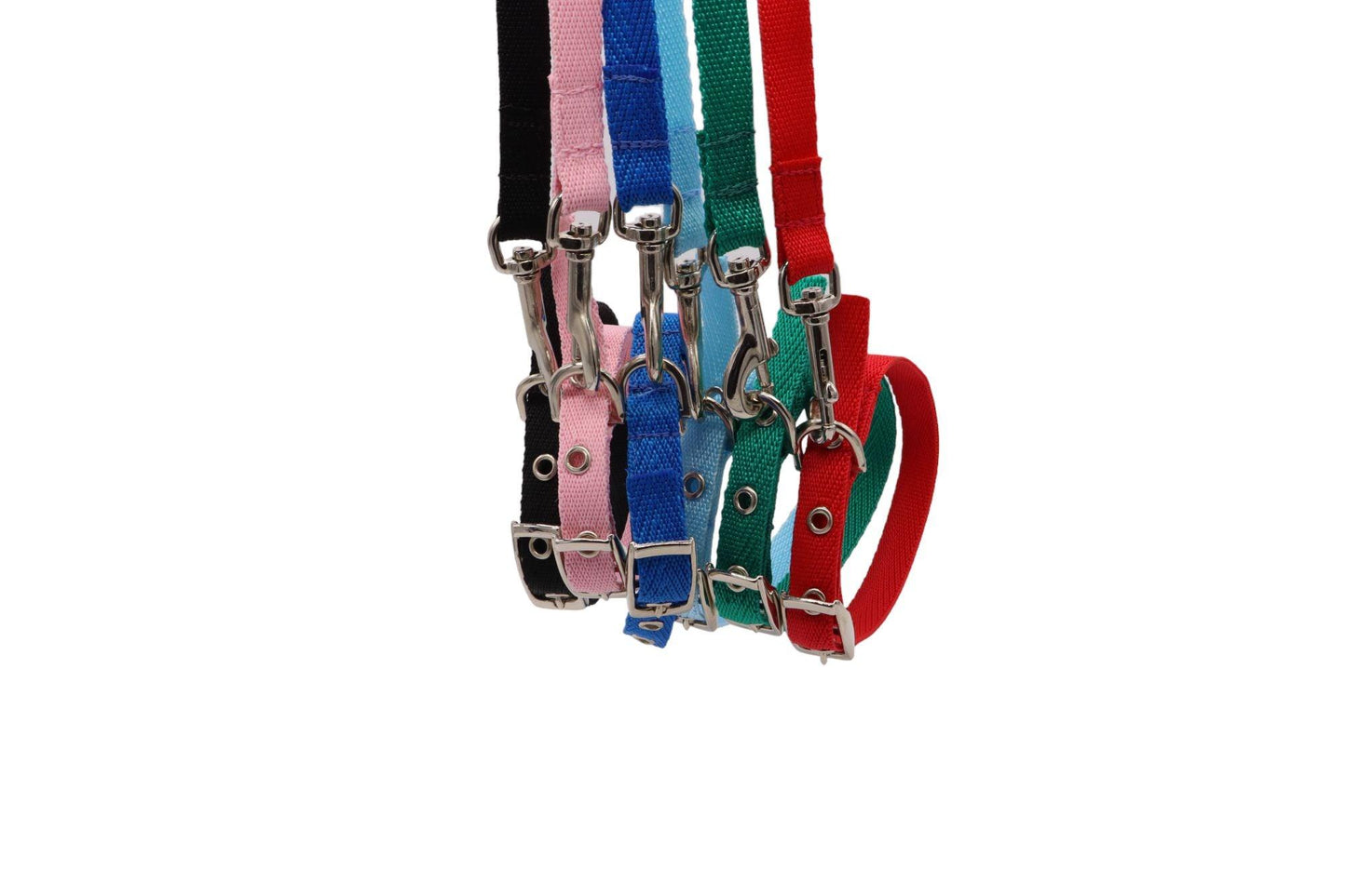 Puppy collar and leads in the colours left to right: black, pink, blue, light blue, green, red. 