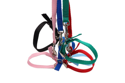 Adjustable Dog Lead and Collar