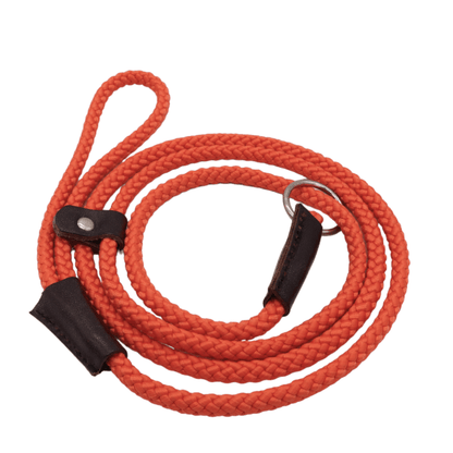 Slip leash in orange with leather bindings.