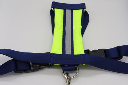 Reflective Padded Fabric Harness with Matching Handle