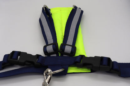 Reflective Padded Fabric Harness with Matching Handle