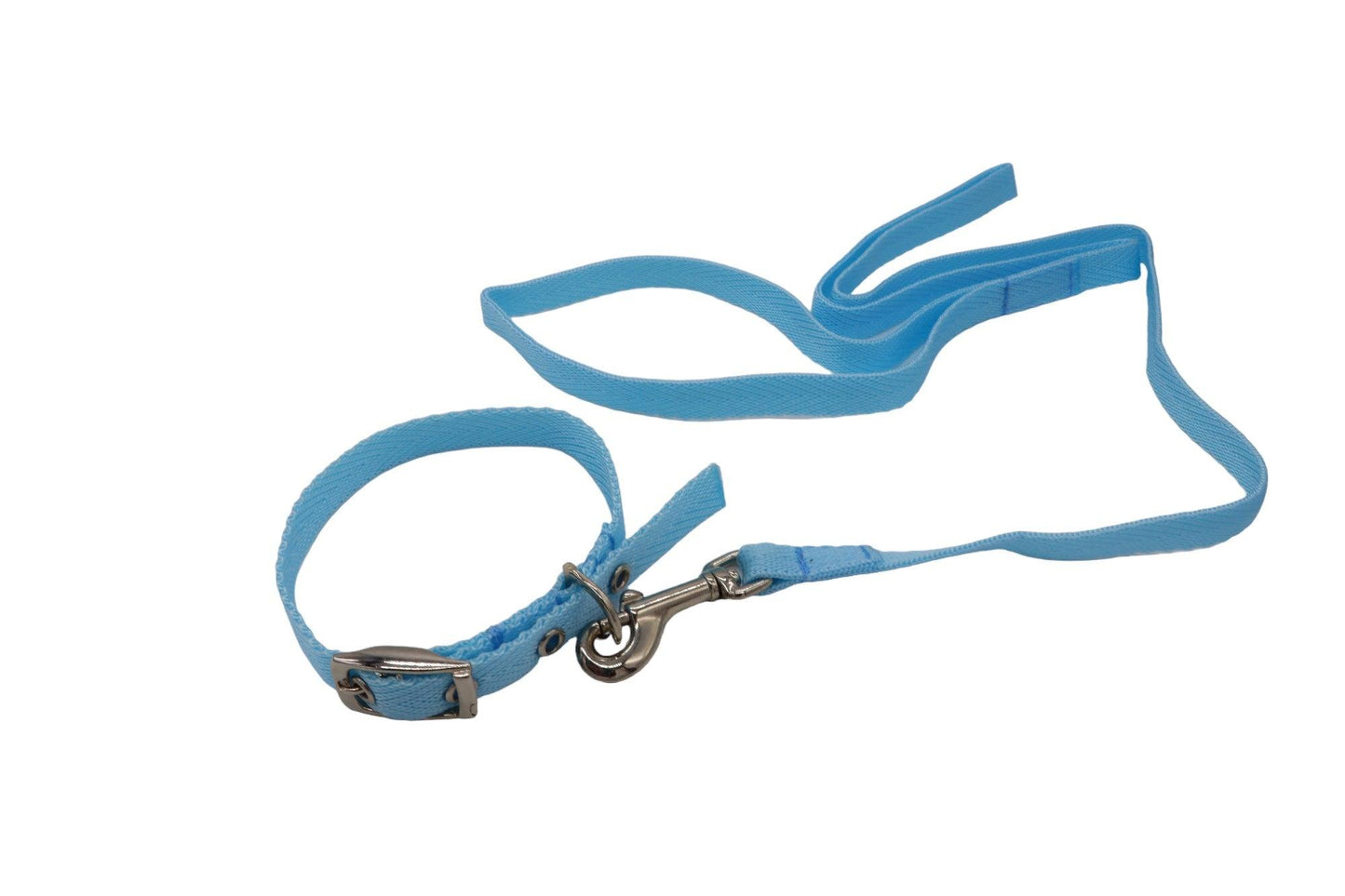 Light blue collar and lead matching set.