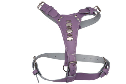 Colourful Leather Dog Harness - Blue, Orange, Lilac, Red, Black, Brown, White