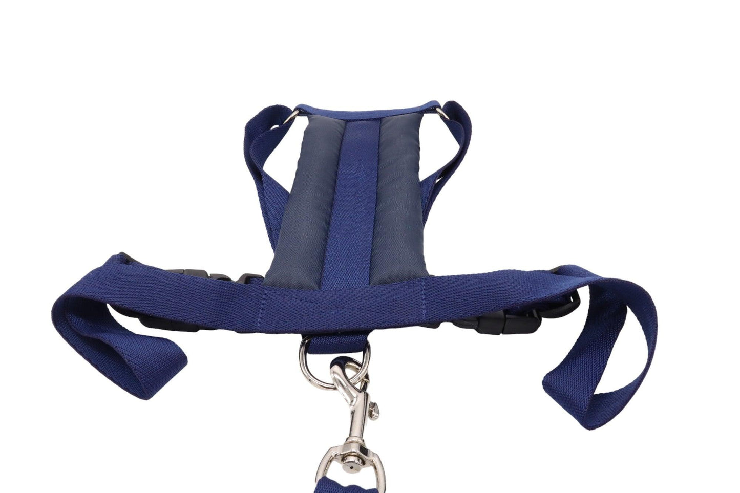 Medium size D dog harness for the car in a navy color