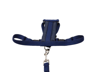 Navy Size B adjustable car safety harness. This small dog harness has a rectangular padded cushioning, with plastic clips and slides for easy adjustment