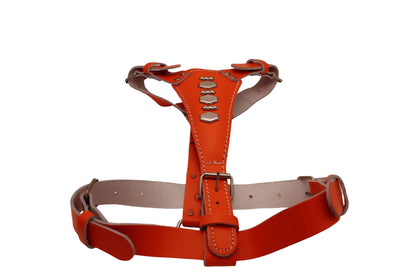 Colourful Leather Dog Harness - Blue, Orange, Lilac, Red, Black, Brown, White