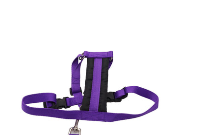 A purple car safety harness with black padding.