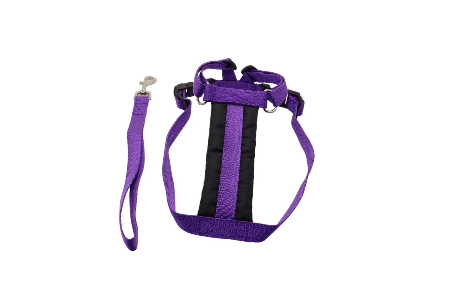 Purple size B car safety harness