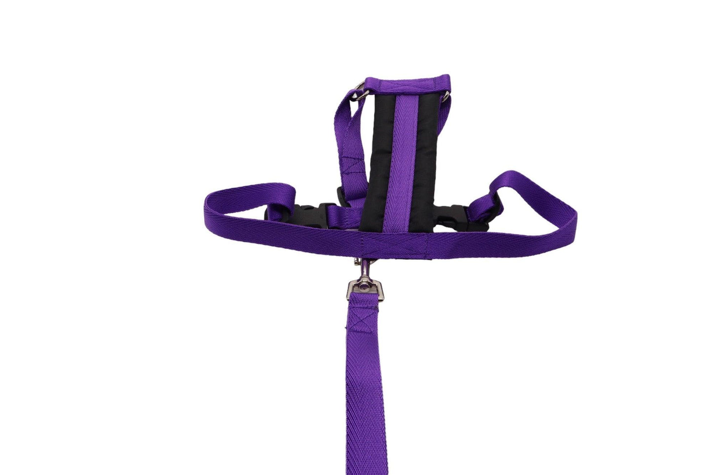 Size B car safety harness for dogs in purple nylon webbing